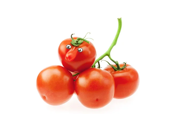 Bunch of tomatoes isolated on white — Stok fotoğraf