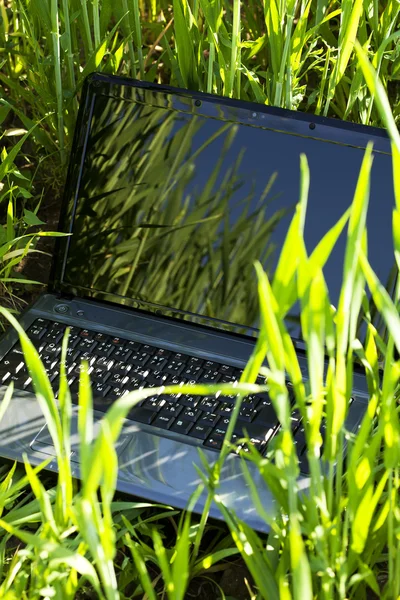 Laptop στο πράσινο γρασίδι — Φωτογραφία Αρχείου