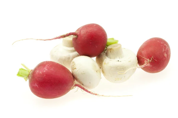 Radis et champignons isolés sur blanc — Photo
