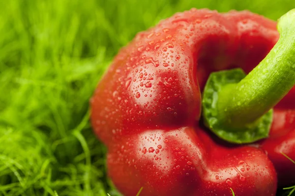 Röd paprika liggande på grönt gräs — Stockfoto