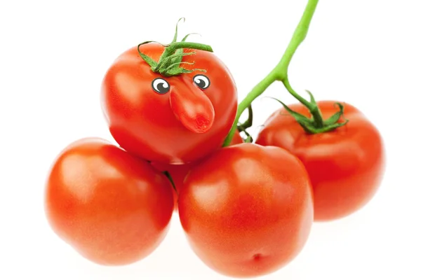 Banda rajčat izolovaných na bílém — Stock fotografie