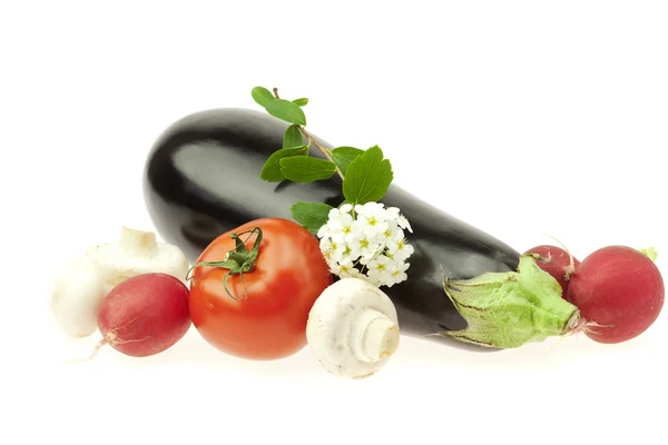 Radis aubergine fleur de tomate et champignons isolés sur blanc — Photo