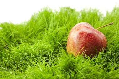 Red apple lying on green grass clipart