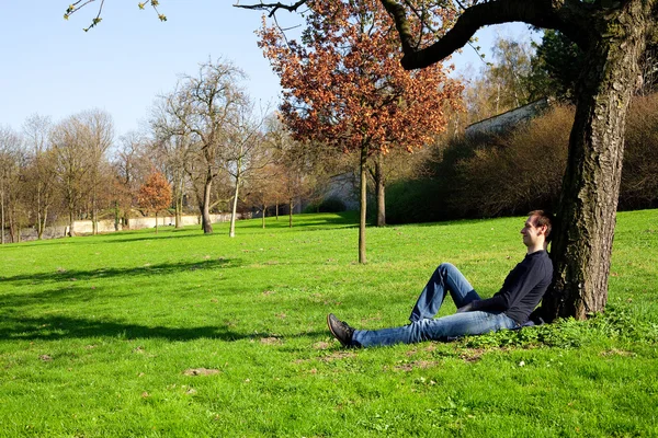 Homem descansando em uma árvore — Fotografia de Stock