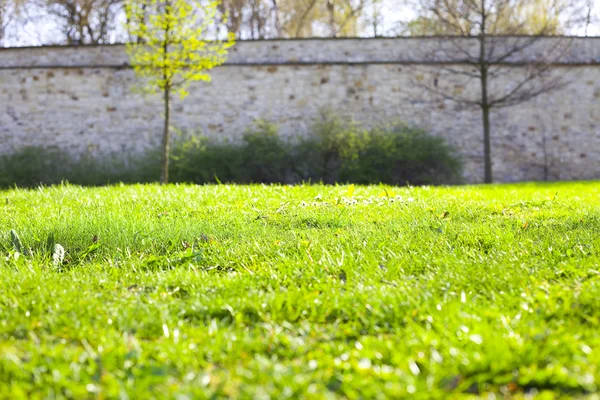 Tuğla duvar ve yeşil çimenler — Stok fotoğraf
