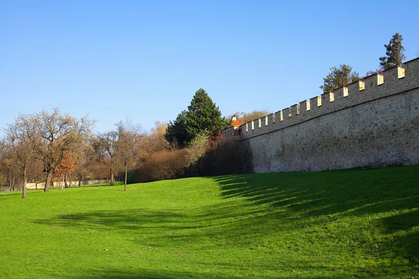 stock image Brick wall and green grass