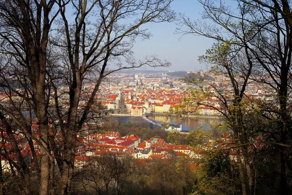 Blick auf Prag — Stockfoto