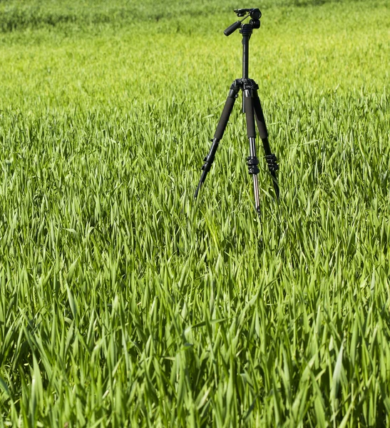 Tripé em pé no campo verde — Fotografia de Stock