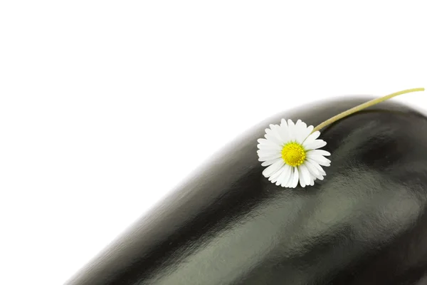 Баклажаны и цветок изолированы на белом — стоковое фото