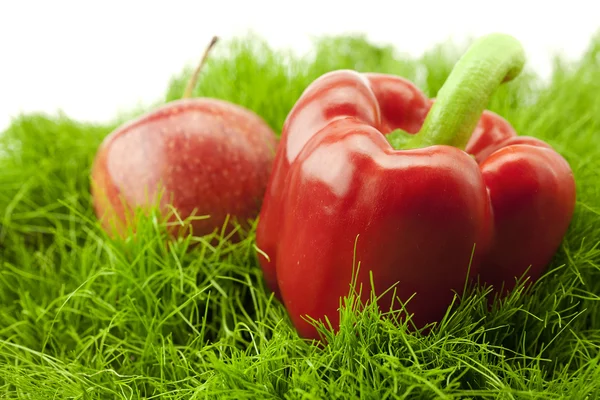 Rød pepper på grønt gress – stockfoto