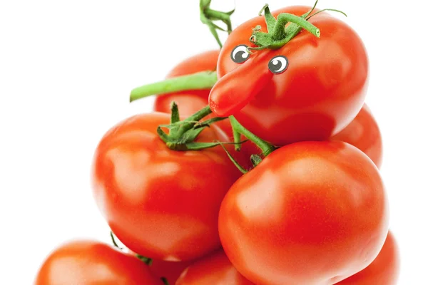 Tomato with a nose and a bunch of tomato isolated on white — Stock Photo, Image