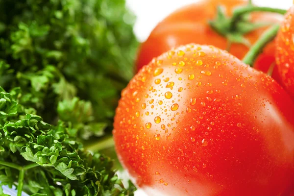 Tomater med droppar av vatten och grönska — Stockfoto