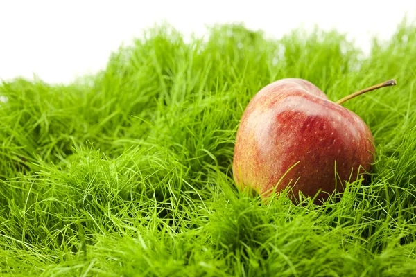 Červené jablko, ležící na zelené trávě — Stock fotografie