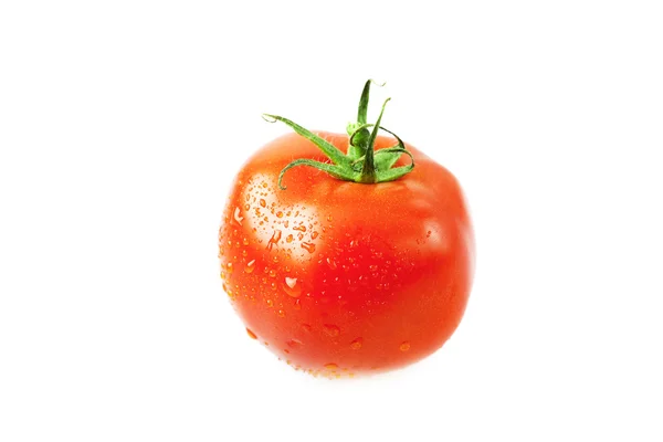 Tomaten mit Wassertropfen isoliert auf weiß — Stockfoto