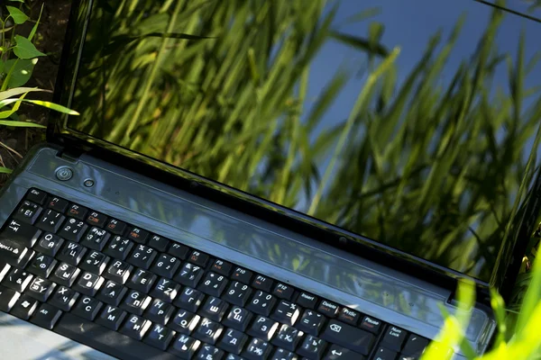 在绿色草地上的笔记本电脑 — 图库照片
