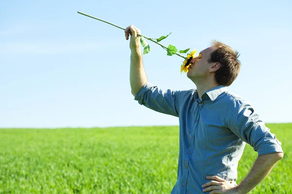 Genç bir adam ve ayçiçeği alan — Stok fotoğraf