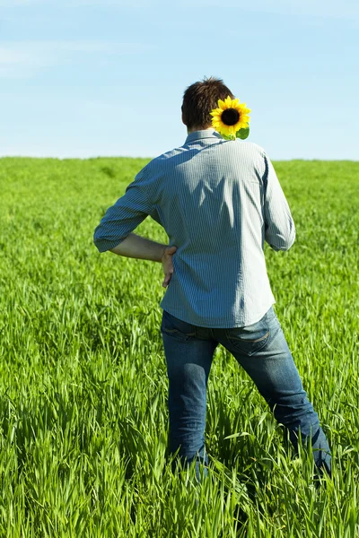 Молодий чоловік і соняшникове поле — стокове фото