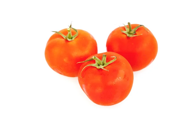Ντομάτες απομονωμένες σε λευκό — Φωτογραφία Αρχείου
