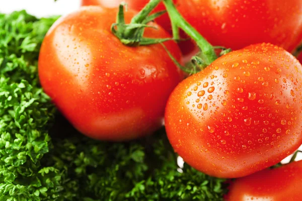 Пучок помидоров и зелени — стоковое фото
