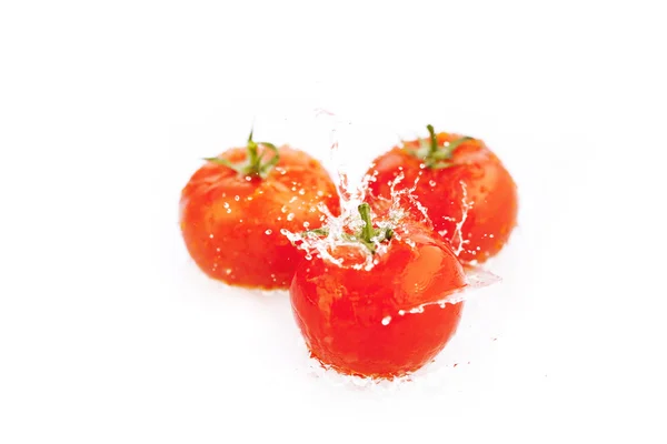 Tomaten met druppels water geïsoleerd op wit — Stockfoto