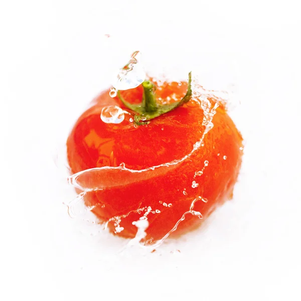 Tomates com gotas de água isoladas em branco — Fotografia de Stock