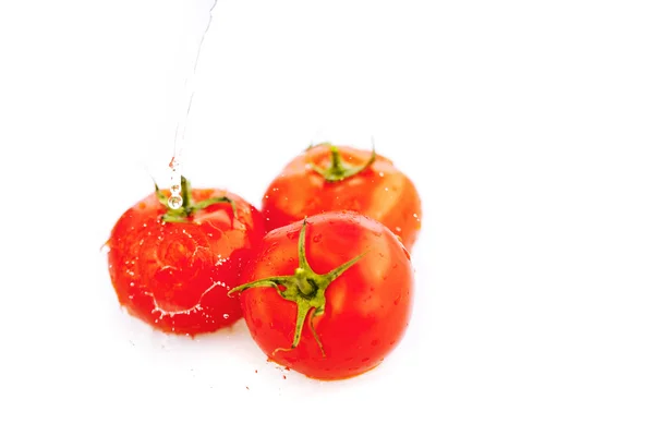 Beyaz üzerine izole edilmiş su damlaları olan domatesler. — Stok fotoğraf
