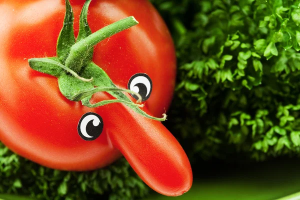 Tomato with a nose and green — Stock Photo, Image