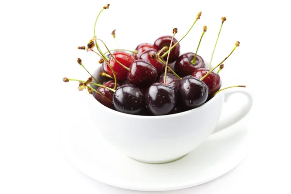 Cherry in a cup and saucer isolated on white — Stock Photo, Image