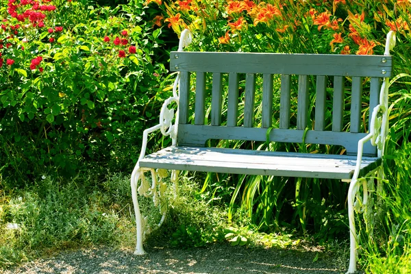 Lone bench in the park — Stock Photo, Image