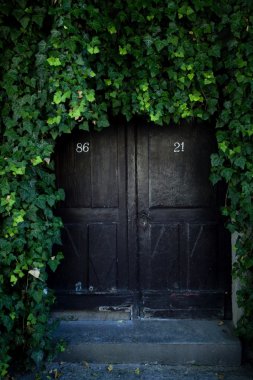 Door covered with ivy clipart