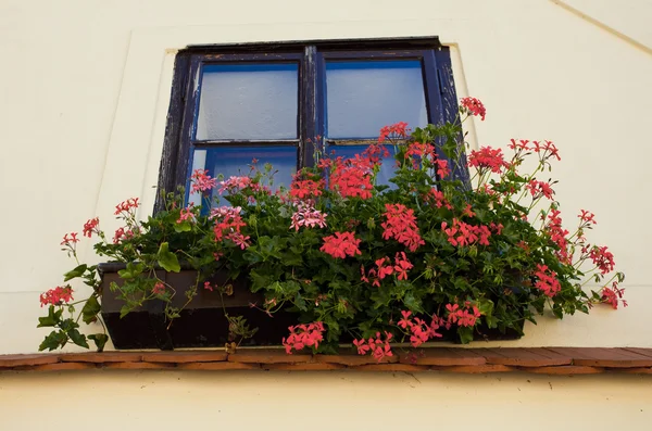 Facade with a balcony with flowers — Stock Photo, Image