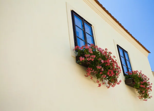 Facade with a balcony with flowers — Stock Photo, Image