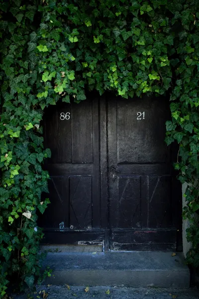 Dveře pokryté břečťanem — Stock fotografie