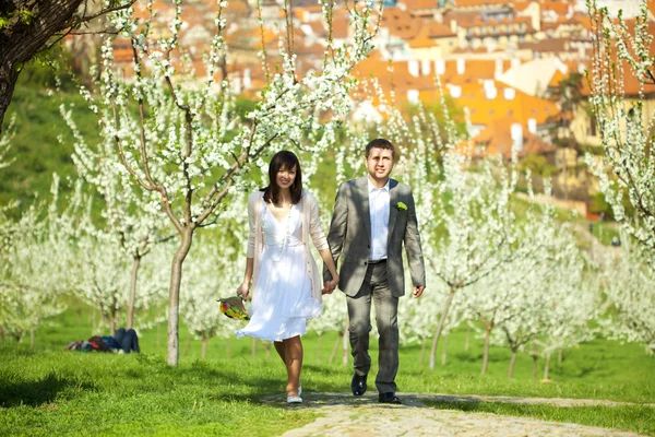 Appena sposato in un giardino fiorito — Foto Stock