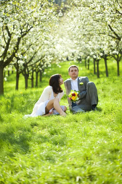 Just married in a flowering garden — Stock Photo, Image