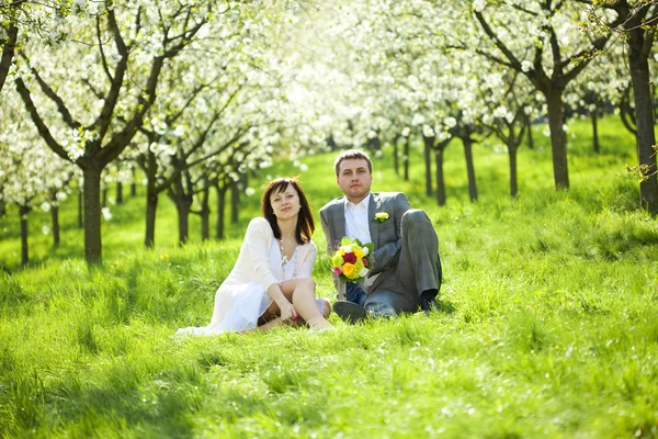 Just married in a flowering garden — Stock Photo, Image