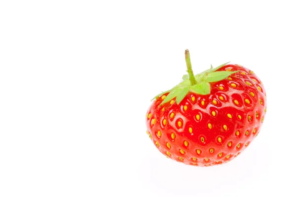 Φράουλα απομονωμένη σε λευκό — Φωτογραφία Αρχείου