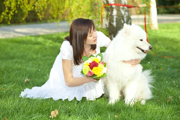 Bruid met hond Samojeed zittend op het gras — Stockfoto