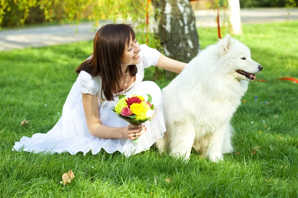 Невеста с собакой Самоед сидит на траве — стоковое фото