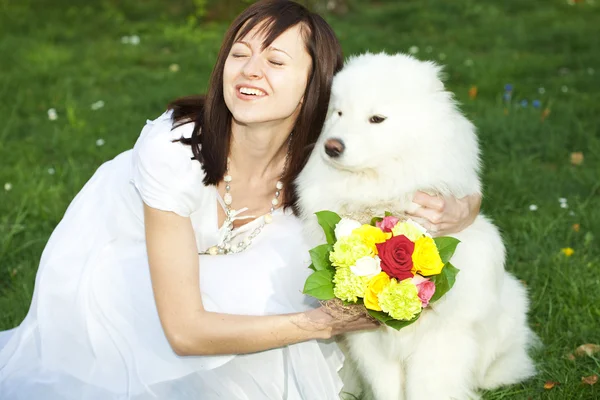 Nevěsta s pes samojed sedět na trávě — Stock fotografie