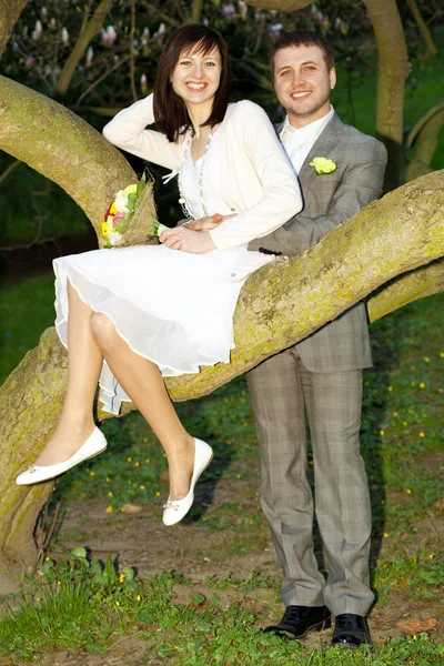 Just married in a beautiful garden — Stock Photo, Image
