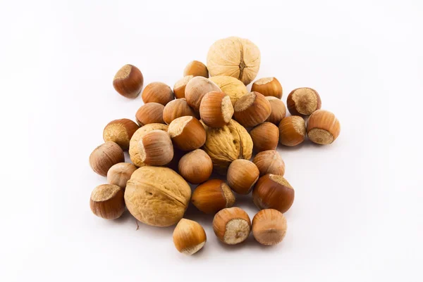 Hazelnuts and walnuts isolated on white — Stock Photo, Image