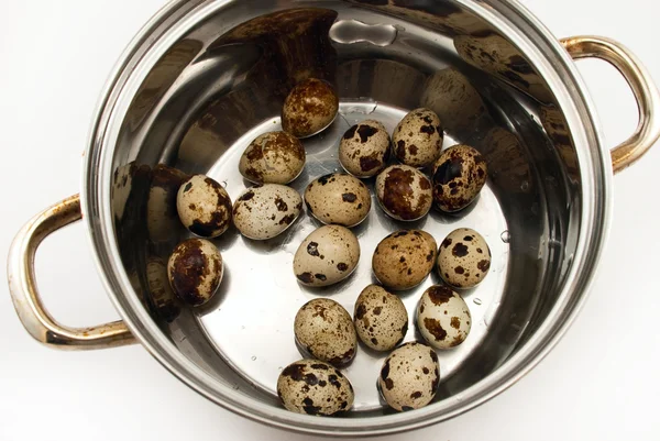 Cazuela con huevos de codorniz aislados en blanco —  Fotos de Stock