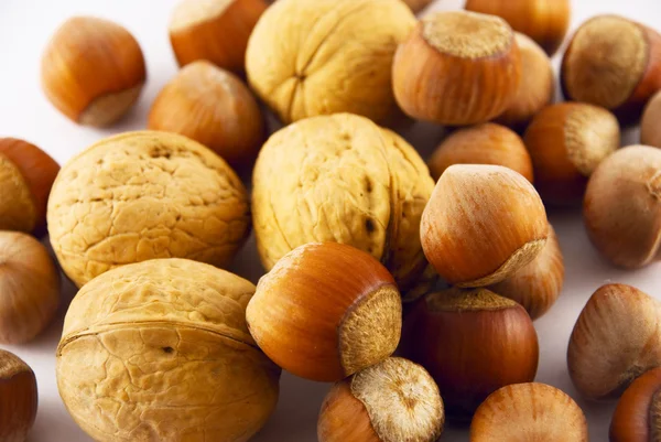 Lískové oříšky a vlašské ořechy, izolované na bílém — Stock fotografie