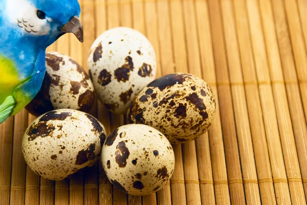 Птах і перепелині яйця на бамбуковому килимку — стокове фото