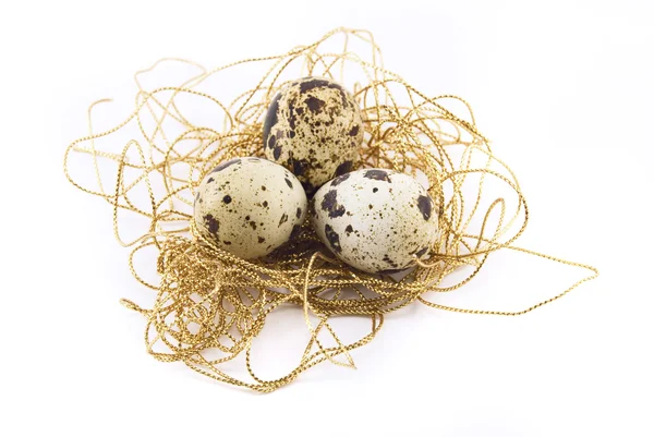 Beyaz izole bıldırcın yumurtası — Stok fotoğraf