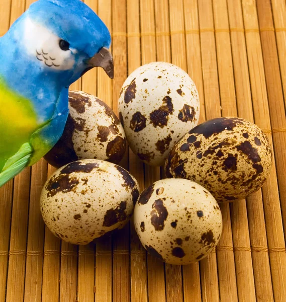 Huevos de ave y codorniz en una alfombra de bambú —  Fotos de Stock