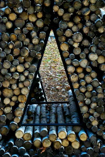 Brennholz aus den Bergen — Stockfoto