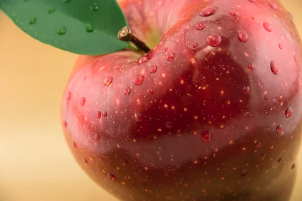Rött äpple på guld bakgrund — Stockfoto