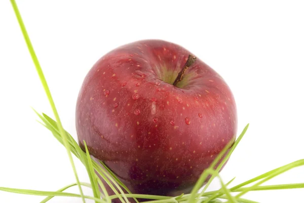 Äpple med leaf isolerad på vit — Stockfoto